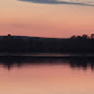 Meet your Posher, Trisha